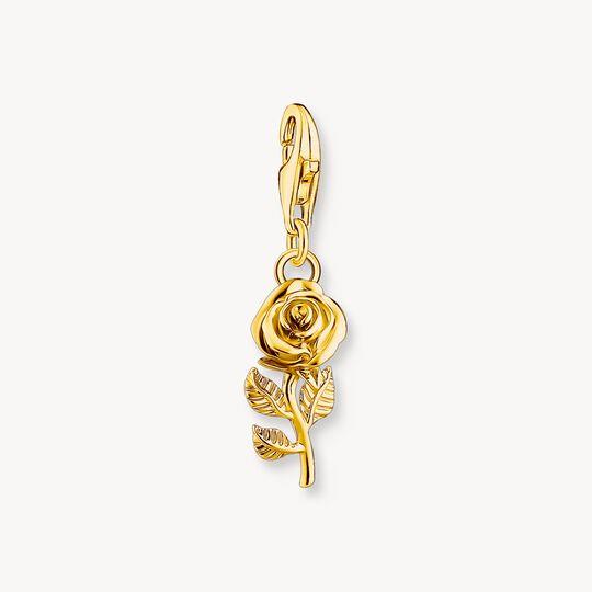 CIONDOLO CHARM