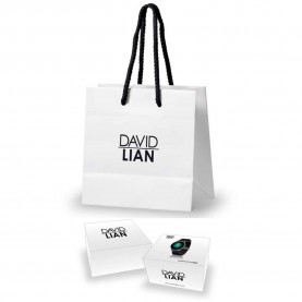 Orologio smartwatch david lian  collezione hong kong dl123