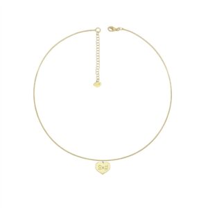 COLLANA RIGIDA CUORE IO& TE