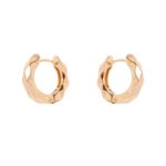 ORECCHINI CERCHIO SFACCETTATO SODINI