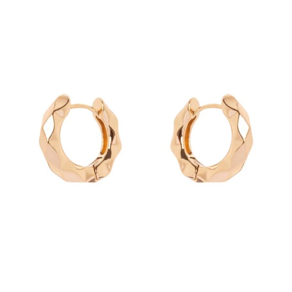 ORECCHINI CERCHIO SFACCETTATO SODINI